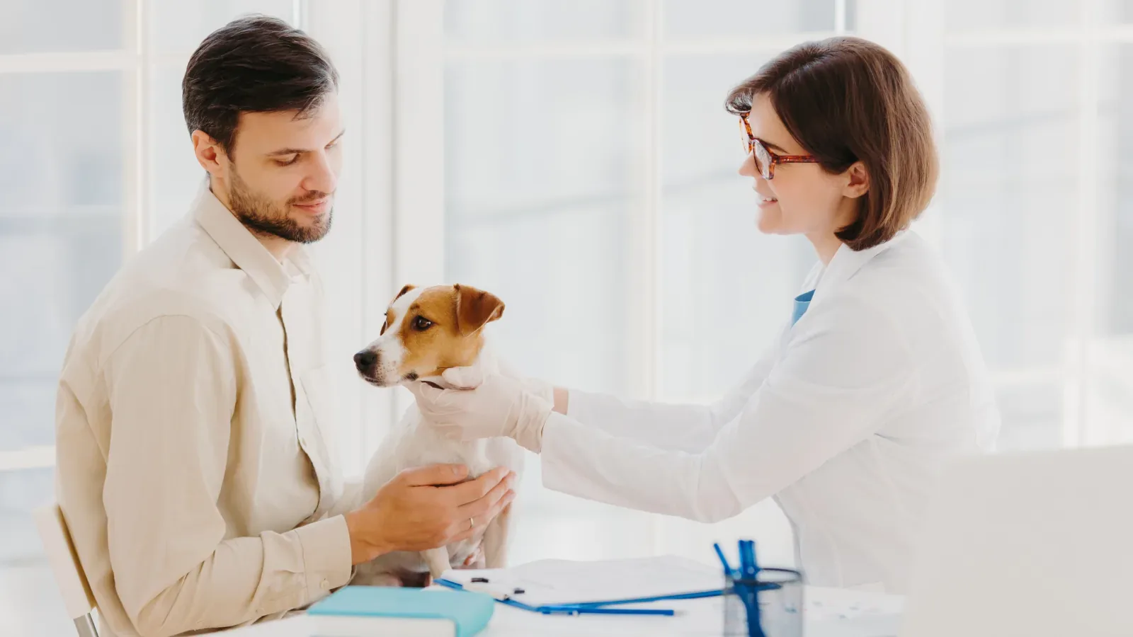 Dog Heat Tips Switzerland: How to Protect Your Pet on Hot Summer Days