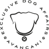 AVANCANI – Hundefotografie Zürich logo